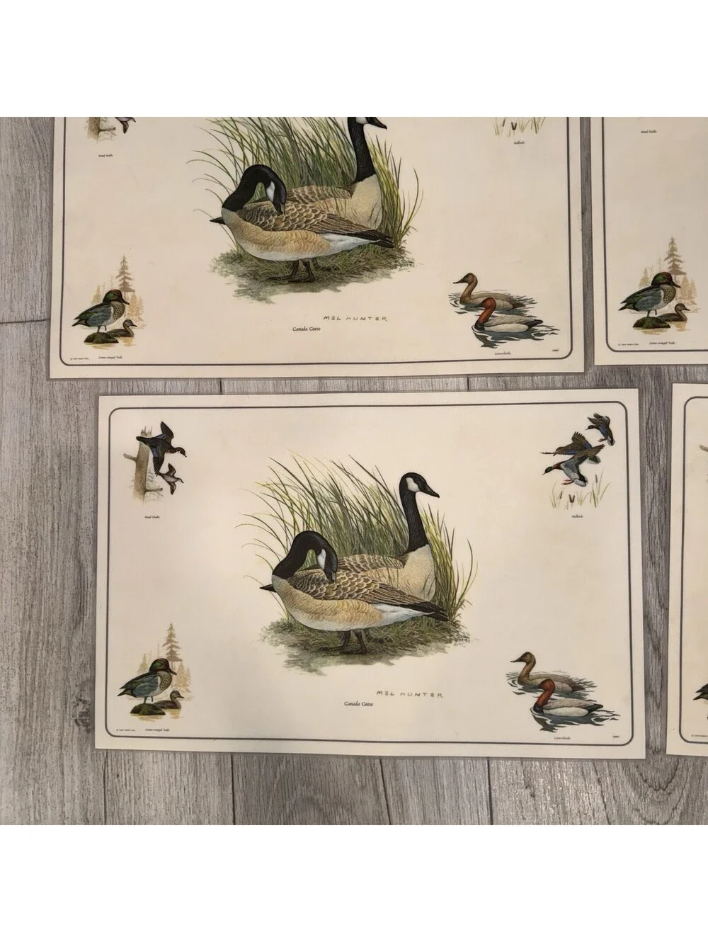 4 Vintage Mel Hunter Canada Geese Wildlife Placemats Duck Hunting Cabin 11x17
